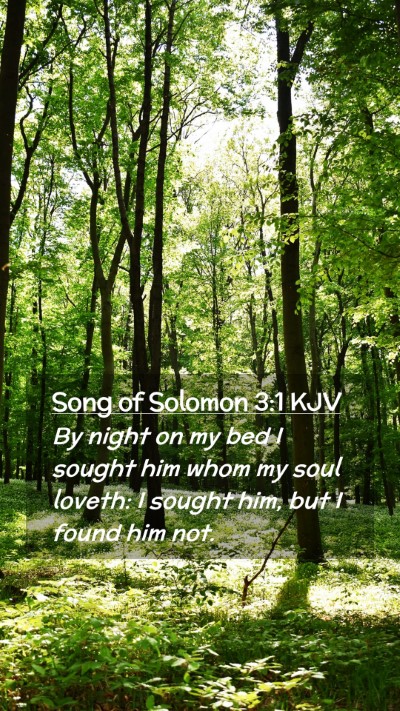 Picture 02 - Song of Solomon 3:1 KJV Mobile Phone Wallpaper - By night on my bed I sought him whom my soul - Mobile Bible Verse Wallpaper