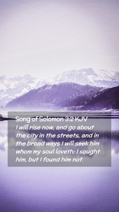 Picture 02 - Song of Solomon 3:2 KJV Mobile Phone Wallpaper - I will rise now, and go about the city in the - Mobile Bible Verse Wallpaper