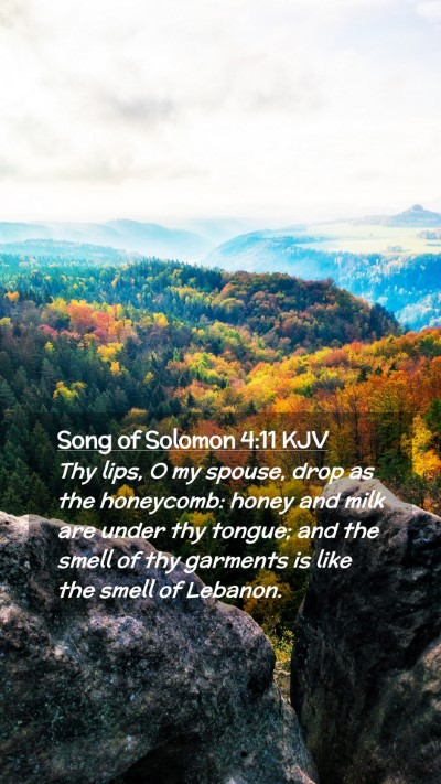 Picture 02 - Song of Solomon 4:11 KJV Mobile Phone Wallpaper - Thy lips, O my spouse, drop as the honeycomb: - Mobile Bible Verse Wallpaper