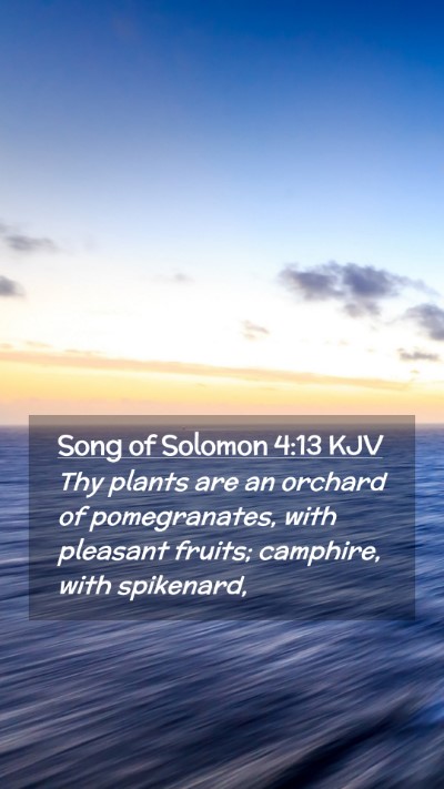 Picture 02 - Song of Solomon 4:13 KJV Mobile Phone Wallpaper - Thy plants are an orchard of pomegranates, with - Mobile Bible Verse Wallpaper