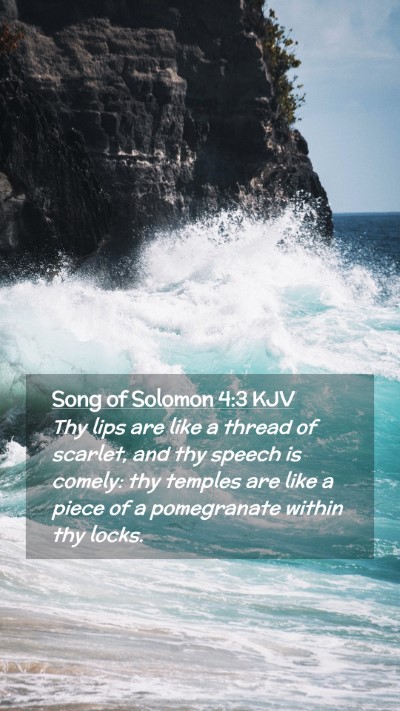 Picture 02 - Song of Solomon 4:3 KJV Mobile Phone Wallpaper - Thy lips are like a thread of scarlet, and thy - Mobile Bible Verse Wallpaper
