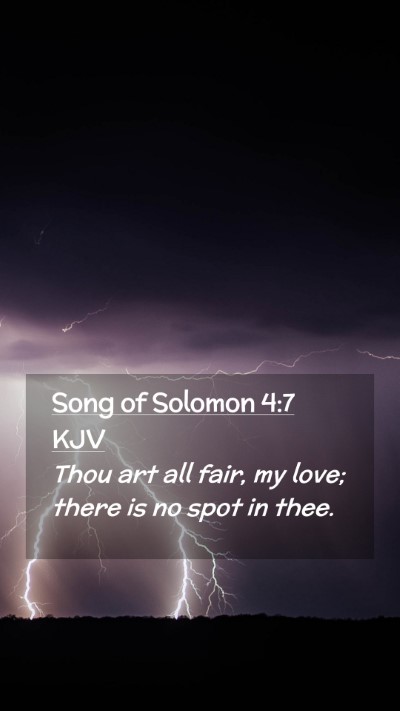 Picture 02 - Song of Solomon 4:7 KJV Mobile Phone Wallpaper - Thou art all fair, my love; there is no spot in - Mobile Bible Verse Wallpaper