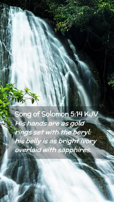 Picture 02 - Song of Solomon 5:14 KJV Mobile Phone Wallpaper - His hands are as gold rings set with the beryl: - Mobile Bible Verse Wallpaper