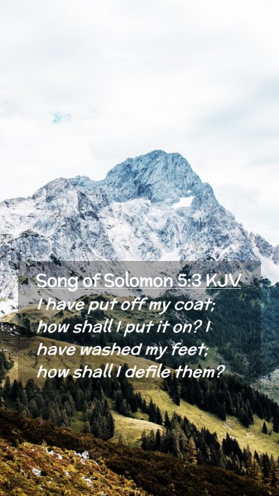 Picture 02 - Song of Solomon 5:3 KJV Mobile Phone Wallpaper - I have put off my coat; how shall I put it on? I - Mobile Bible Verse Wallpaper