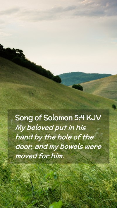 Picture 02 - Song of Solomon 5:4 KJV Mobile Phone Wallpaper - My beloved put in his hand by the hole of the - Mobile Bible Verse Wallpaper