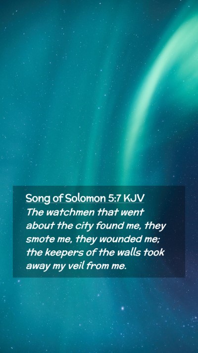 Picture 02 - Song of Solomon 5:7 KJV Mobile Phone Wallpaper - The watchmen that went about the city found me, - Mobile Bible Verse Wallpaper