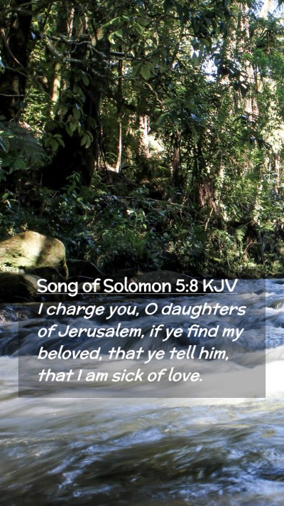 Picture 02 - Song of Solomon 5:8 KJV Mobile Phone Wallpaper - I charge you, O daughters of Jerusalem, if ye - Mobile Bible Verse Wallpaper