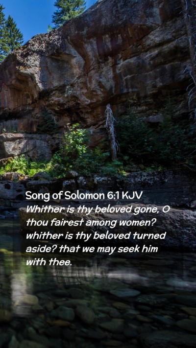 Picture 02 - Song of Solomon 6:1 KJV Mobile Phone Wallpaper - Whither is thy beloved gone, O thou fairest among - Mobile Bible Verse Wallpaper