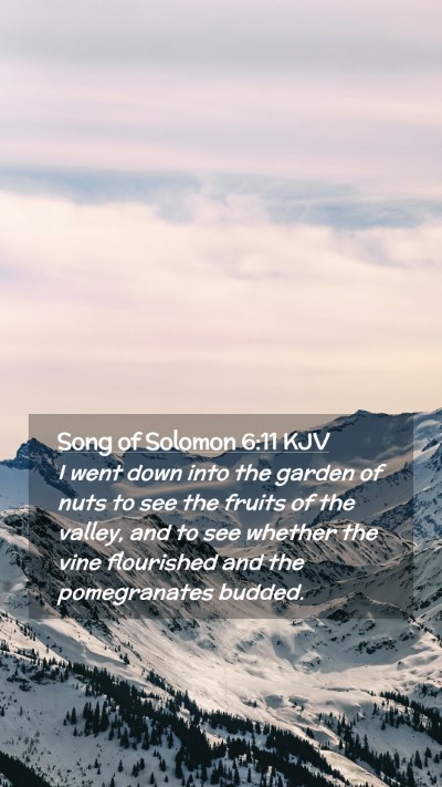 Picture 02 - Song of Solomon 6:11 KJV Mobile Phone Wallpaper - I went down into the garden of nuts to see the - Mobile Bible Verse Wallpaper