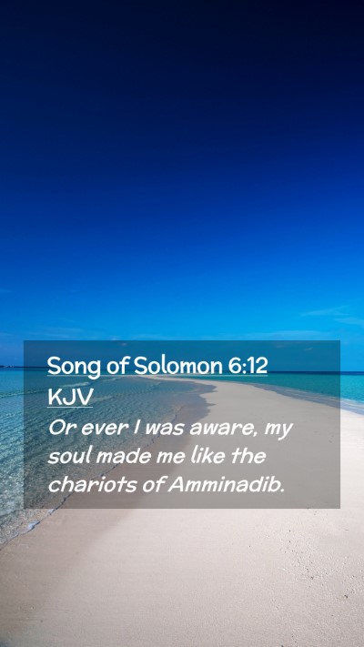 Picture 02 - Song of Solomon 6:12 KJV Mobile Phone Wallpaper - Or ever I was aware, my soul made me like the - Mobile Bible Verse Wallpaper