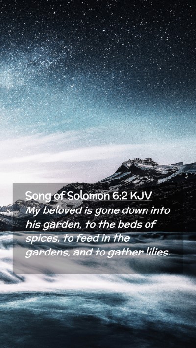 Picture 02 - Song of Solomon 6:2 KJV Mobile Phone Wallpaper - My beloved is gone down into his garden, to the - Mobile Bible Verse Wallpaper