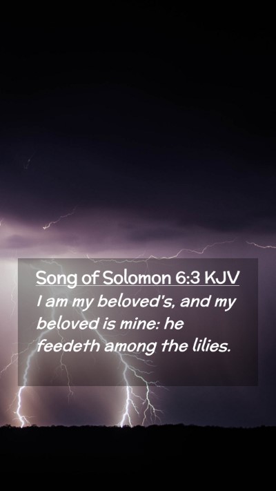 Picture 02 - Song of Solomon 6:3 KJV Mobile Phone Wallpaper - I am my beloved's, and my beloved is mine: he - Mobile Bible Verse Wallpaper