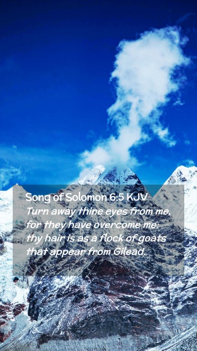 Picture 02 - Song of Solomon 6:5 KJV Mobile Phone Wallpaper - Turn away thine eyes from me, for they have - Mobile Bible Verse Wallpaper