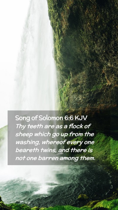 Picture 02 - Song of Solomon 6:6 KJV Mobile Phone Wallpaper - Thy teeth are as a flock of sheep which go up - Mobile Bible Verse Wallpaper
