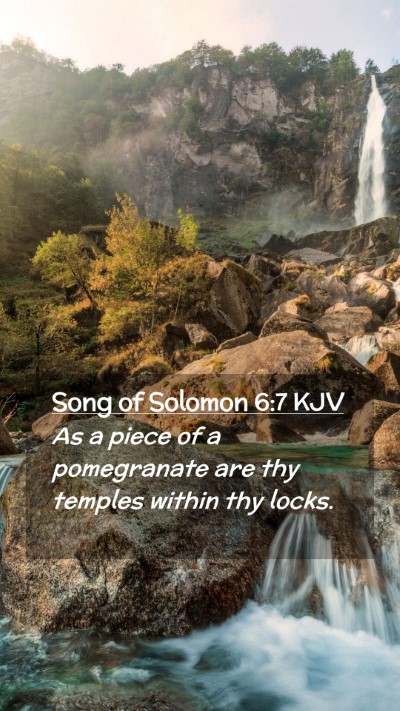 Picture 02 - Song of Solomon 6:7 KJV Mobile Phone Wallpaper - As a piece of a pomegranate are thy temples - Mobile Bible Verse Wallpaper