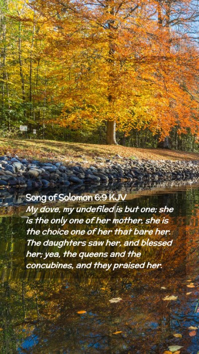 Picture 02 - Song of Solomon 6:9 KJV Mobile Phone Wallpaper - My dove, my undefiled is but one; she is the only - Mobile Bible Verse Wallpaper