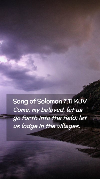 Picture 02 - Song of Solomon 7:11 KJV Mobile Phone Wallpaper - Come, my beloved, let us go forth into the field; - Mobile Bible Verse Wallpaper