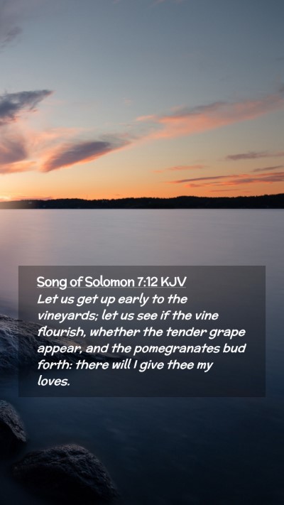 Picture 02 - Song of Solomon 7:12 KJV Mobile Phone Wallpaper - Let us get up early to the vineyards; let us see - Mobile Bible Verse Wallpaper