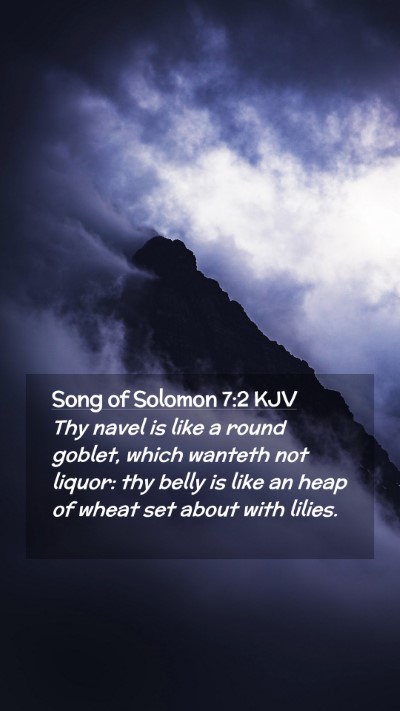 Picture 02 - Song of Solomon 7:2 KJV Mobile Phone Wallpaper - Thy navel is like a round goblet, which wanteth - Mobile Bible Verse Wallpaper
