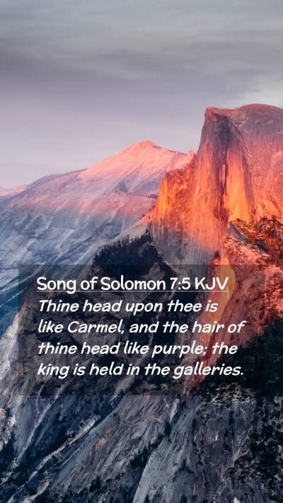 Picture 02 - Song of Solomon 7:5 KJV Mobile Phone Wallpaper - Thine head upon thee is like Carmel, and the hair - Mobile Bible Verse Wallpaper