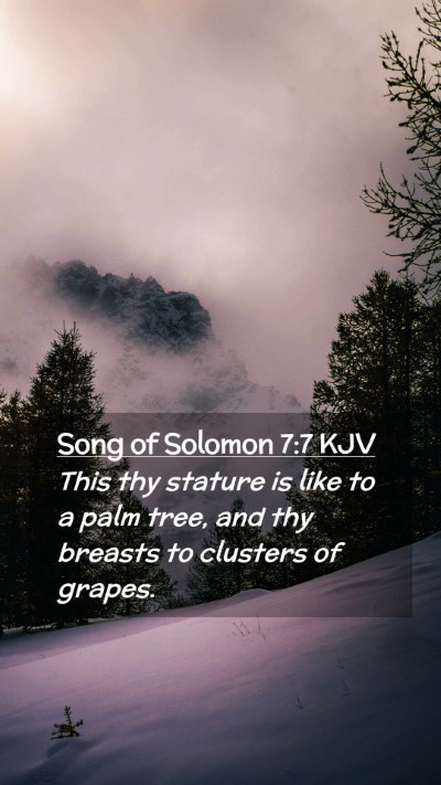 Picture 02 - Song of Solomon 7:7 KJV Mobile Phone Wallpaper - This thy stature is like to a palm tree, and thy - Mobile Bible Verse Wallpaper