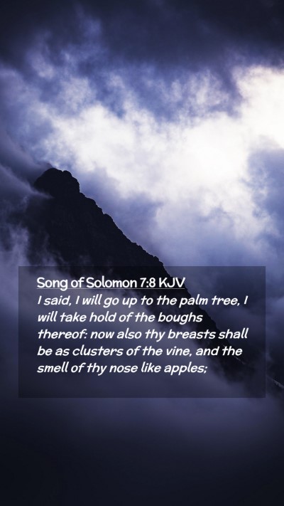 Picture 02 - Song of Solomon 7:8 KJV Mobile Phone Wallpaper - I said, I will go up to the palm tree, I will - Mobile Bible Verse Wallpaper