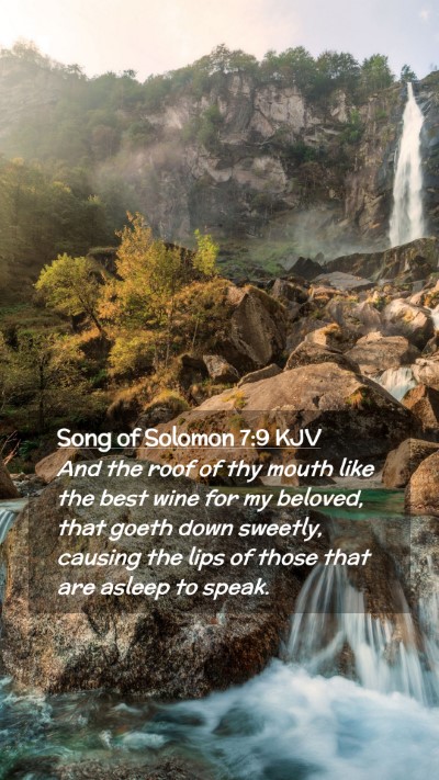 Picture 02 - Song of Solomon 7:9 KJV Mobile Phone Wallpaper - And the roof of thy mouth like the best wine for - Mobile Bible Verse Wallpaper