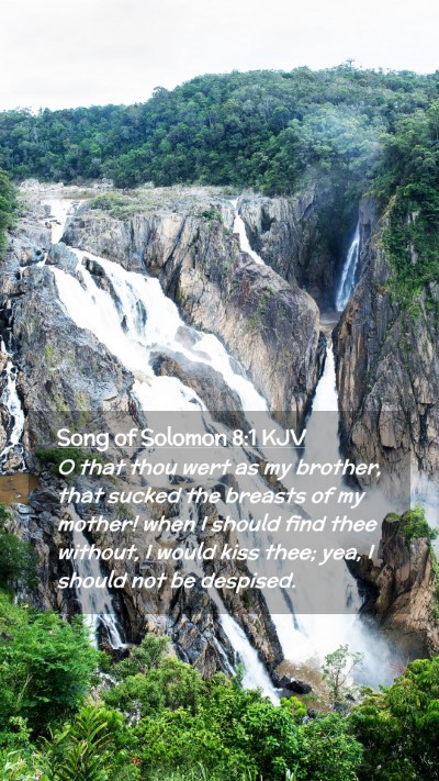Picture 02 - Song of Solomon 8:1 KJV Mobile Phone Wallpaper - O that thou wert as my brother, that sucked the - Mobile Bible Verse Wallpaper