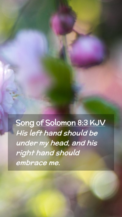 Picture 02 - Song of Solomon 8:3 KJV Mobile Phone Wallpaper - His left hand should be under my head, and his - Mobile Bible Verse Wallpaper