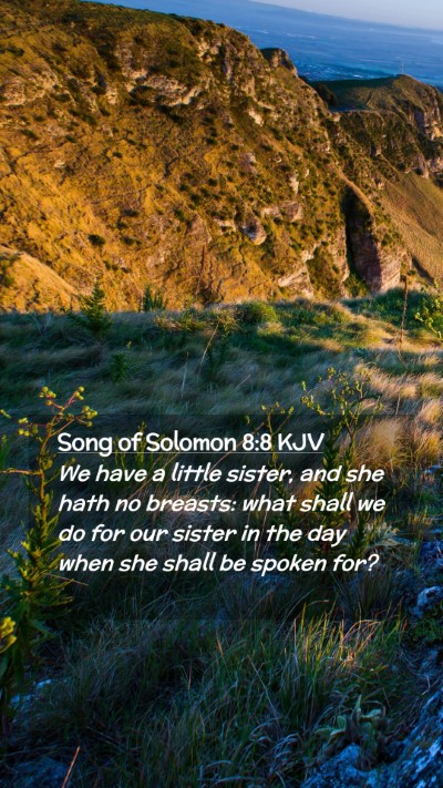 Picture 02 - Song of Solomon 8:8 KJV Mobile Phone Wallpaper - We have a little sister, and she hath no breasts: - Mobile Bible Verse Wallpaper