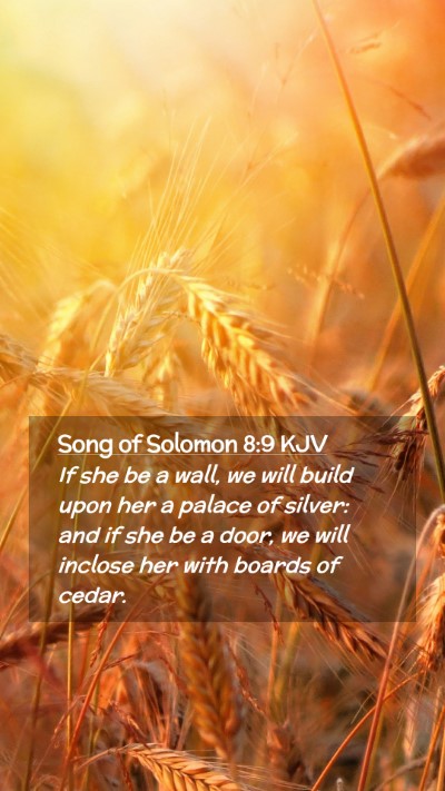 Picture 02 - Song of Solomon 8:9 KJV Mobile Phone Wallpaper - If she be a wall, we will build upon her a palace - Mobile Bible Verse Wallpaper