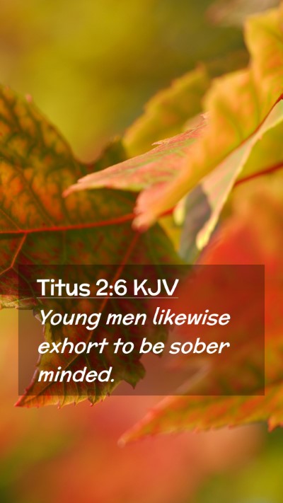 Picture 02 - Titus 2:6 KJV Mobile Phone Wallpaper - Young men likewise exhort to be sober - Mobile Bible Verse Wallpaper