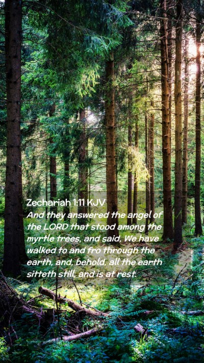Picture 02 - Zechariah 1:11 KJV Mobile Phone Wallpaper - And they answered the angel of the LORD that - Mobile Bible Verse Wallpaper