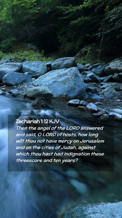 Picture 02 - Zechariah 1:12 KJV Mobile Phone Wallpaper - Then the angel of the LORD answered and said, O - Mobile Bible Verse Wallpaper
