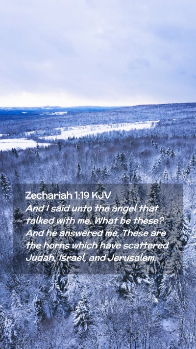 Picture 02 - Zechariah 1:19 KJV Mobile Phone Wallpaper - And I said unto the angel that talked with me, - Mobile Bible Verse Wallpaper
