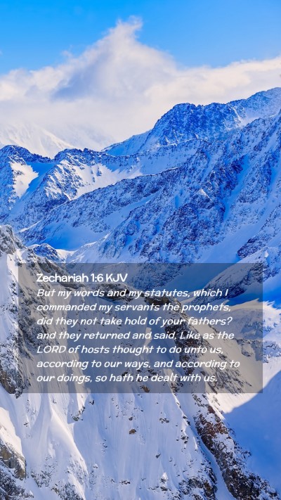 Picture 02 - Zechariah 1:6 KJV Mobile Phone Wallpaper - But my words and my statutes, which I commanded - Mobile Bible Verse Wallpaper