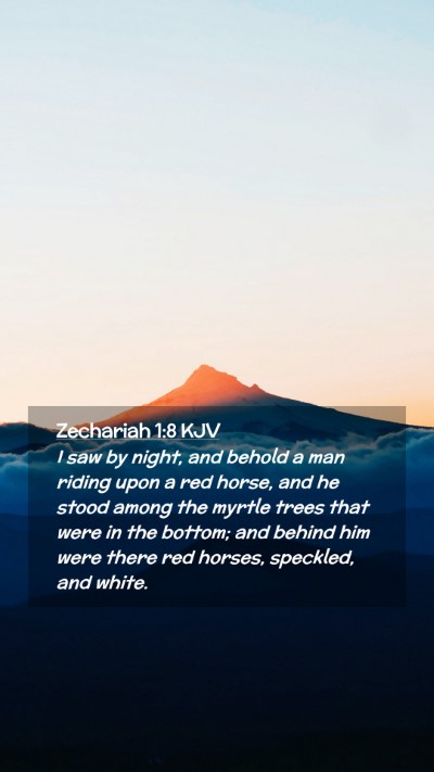 Picture 02 - Zechariah 1:8 KJV Mobile Phone Wallpaper - I saw by night, and behold a man riding upon a - Mobile Bible Verse Wallpaper