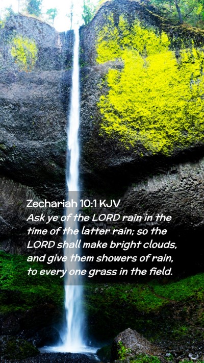 Picture 02 - Zechariah 10:1 KJV Mobile Phone Wallpaper - Ask ye of the LORD rain in the time of the latter - Mobile Bible Verse Wallpaper
