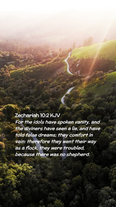 Picture 02 - Zechariah 10:2 KJV Mobile Phone Wallpaper - For the idols have spoken vanity, and the - Mobile Bible Verse Wallpaper