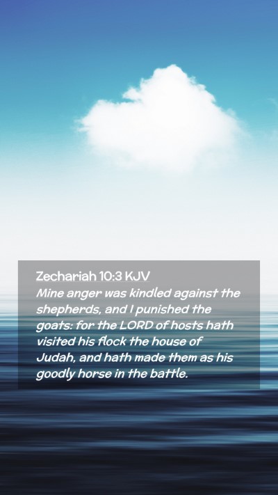 Picture 02 - Zechariah 10:3 KJV Mobile Phone Wallpaper - Mine anger was kindled against the shepherds, and - Mobile Bible Verse Wallpaper