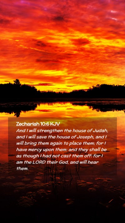 Picture 02 - Zechariah 10:6 KJV Mobile Phone Wallpaper - And I will strengthen the house of Judah, and I - Mobile Bible Verse Wallpaper
