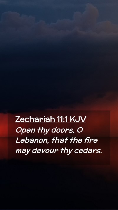 Picture 02 - Zechariah 11:1 KJV Mobile Phone Wallpaper - Open thy doors, O Lebanon, that the fire may - Mobile Bible Verse Wallpaper
