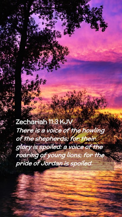 Picture 02 - Zechariah 11:3 KJV Mobile Phone Wallpaper - There is a voice of the howling of the shepherds; - Mobile Bible Verse Wallpaper