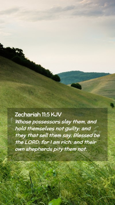 Picture 02 - Zechariah 11:5 KJV Mobile Phone Wallpaper - Whose possessors slay them, and hold themselves - Mobile Bible Verse Wallpaper