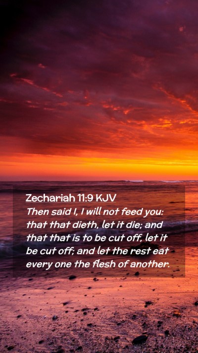 Picture 02 - Zechariah 11:9 KJV Mobile Phone Wallpaper - Then said I, I will not feed you: that that - Mobile Bible Verse Wallpaper