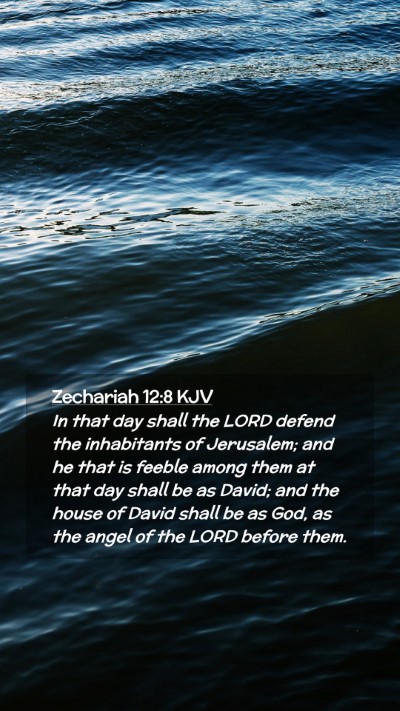 Picture 02 - Zechariah 12:8 KJV Mobile Phone Wallpaper - In that day shall the LORD defend the inhabitants - Mobile Bible Verse Wallpaper