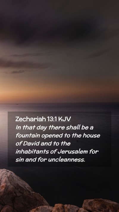 Picture 02 - Zechariah 13:1 KJV Mobile Phone Wallpaper - In that day there shall be a fountain opened to - Mobile Bible Verse Wallpaper