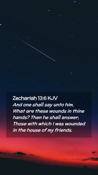 Picture 02 - Zechariah 13:6 KJV Mobile Phone Wallpaper - And one shall say unto him, What are these wounds - Mobile Bible Verse Wallpaper