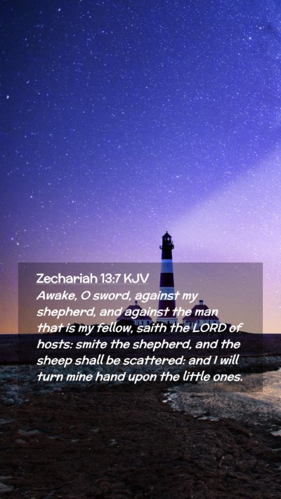 Picture 02 - Zechariah 13:7 KJV Mobile Phone Wallpaper - Awake, O sword, against my shepherd, and against - Mobile Bible Verse Wallpaper