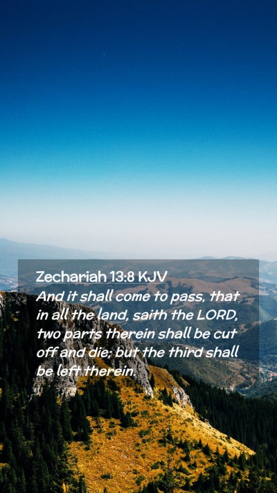 Picture 02 - Zechariah 13:8 KJV Mobile Phone Wallpaper - And it shall come to pass, that in all the land, - Mobile Bible Verse Wallpaper